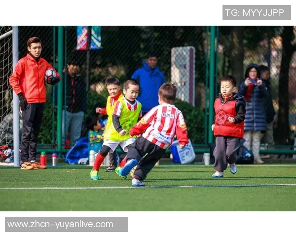 足球建将：探索中国足球青训体系的未来与发展方向